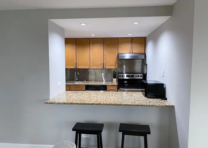 River North Magnificent Mile Condo, And Views, 43rd Floor Corner, Parking Included! Apartment